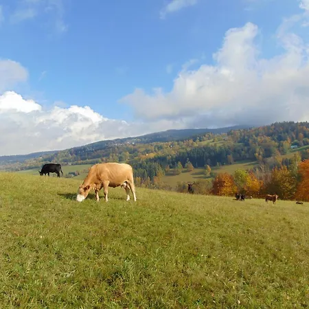 Aparthotel U Medvedu Krkonose