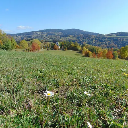 U Medvedu Krkonose 3*