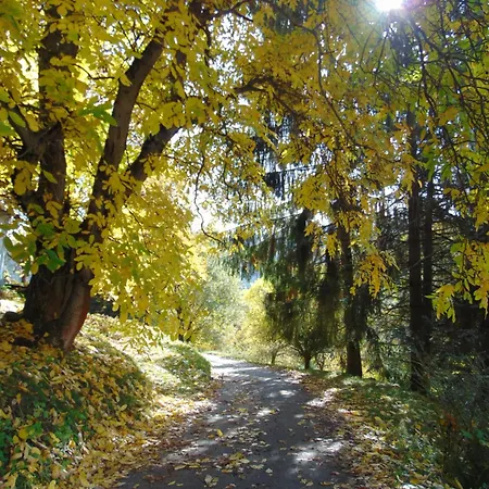 U Medvedu Krkonose * Jestrabi V Krkonosich