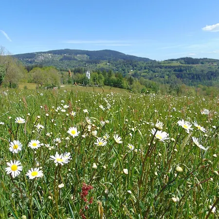 U Medvedu Krkonose Jestrabi V Krkonosich