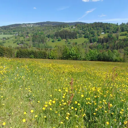 Aparthotel U Medvedu Krkonose *