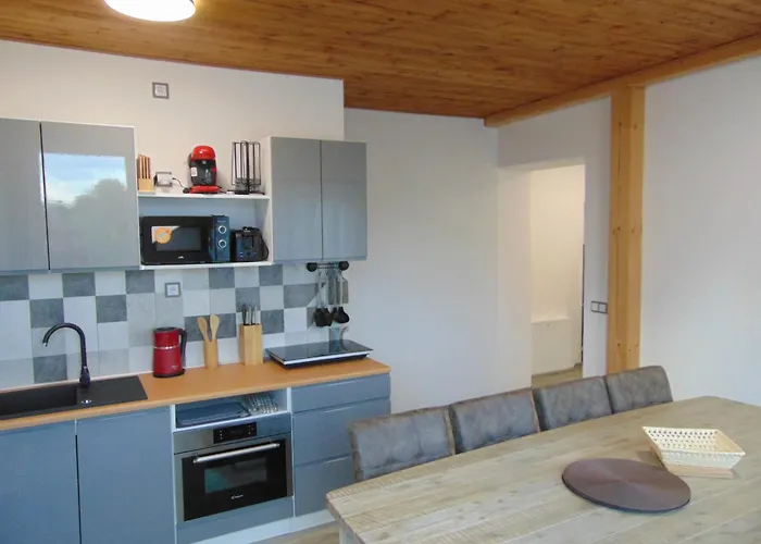 Appart hôtel U Medvedu Krkonose Jestrabi V Krkonosich