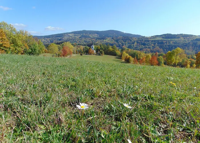 U Medvedu Krkonose 3*