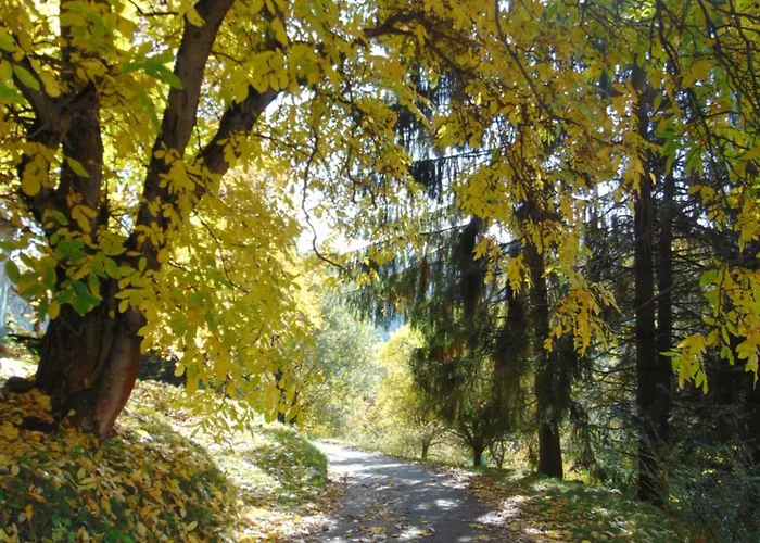 U Medvedu Krkonose 3* Jestrabi V Krkonosich