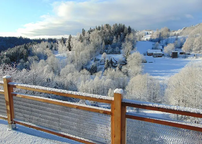 U Medvedu Krkonose 3* Jestrabi V Krkonosich