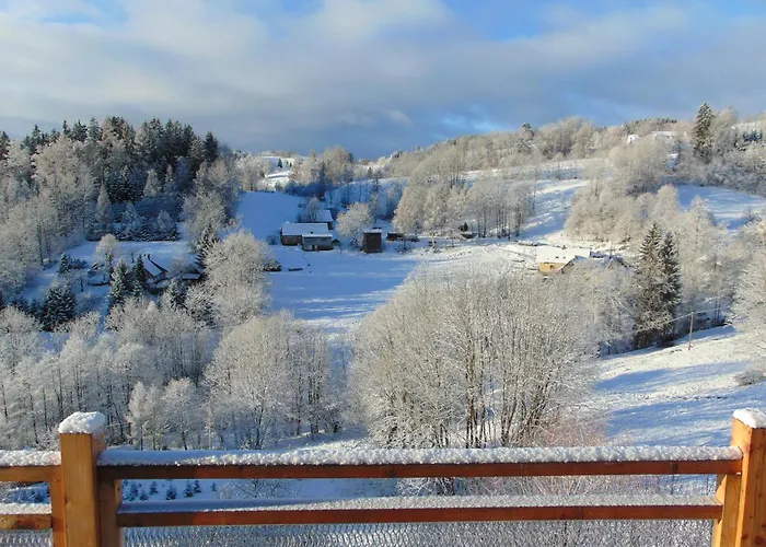 Appart hôtel U Medvedu Krkonose 3*