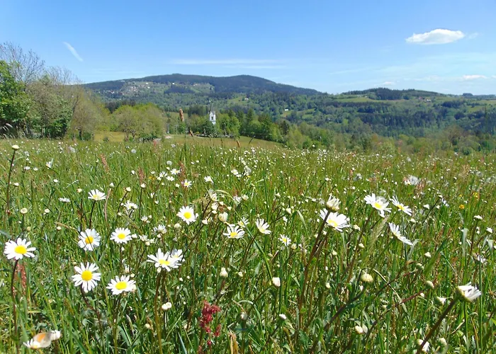 U Medvedu Krkonose Jestrabi V Krkonosich