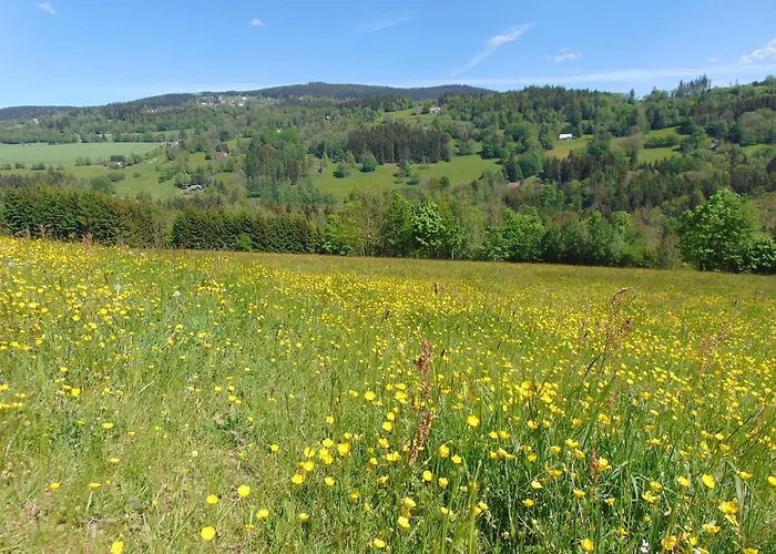 Appart hôtel U Medvedu Krkonose 3*