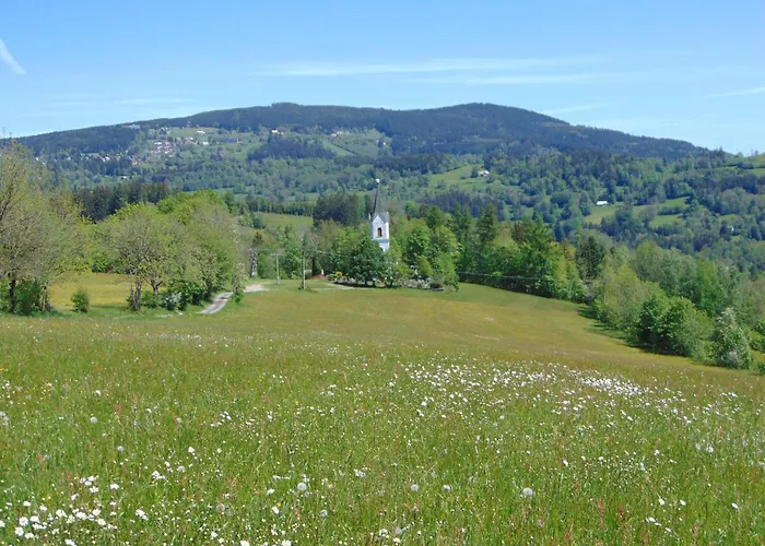 U Medvedu Krkonose 3*